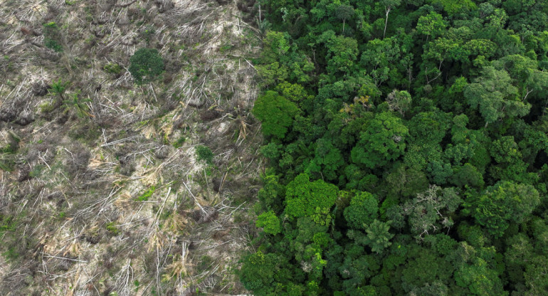 Deforestación cerca de Uruara, estado de Pará, en la Amazonía brasileña. Reuters