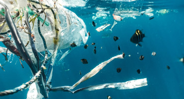 Se necesitan tan solo 5 minutos para producir una bolsa de plástico, y tardan cientos de años en degradarse. Foto: Unsplash.