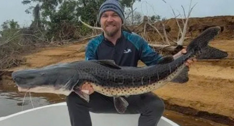 Un pescador misionero pescó un Surubí de 40 kilos en Itá-Baté. Foto: NA.