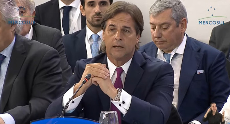 Luis Lacalle Pou en Cumbre del Mercosur en Argentina. Foto: captura de video.