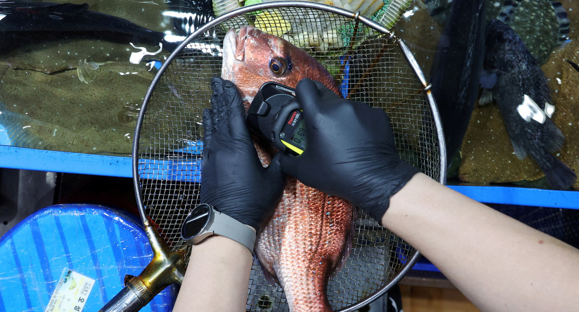 Control de radiactividad de un pez importado de Japón en el mercado mayorista de pesca de Noryangjin en Seúl, Corea del Sur. Foto: Reuters