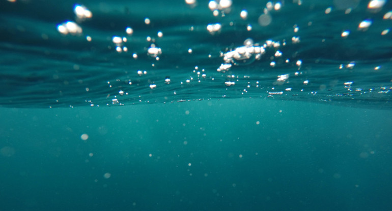 El nuevo color de las aguas del océano no es buena señal, según los expertos. Foto: Unsplash