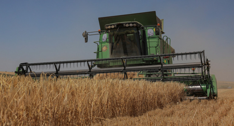 Rusia pone fin al acuerdo de granos. Foto: Reuters.
