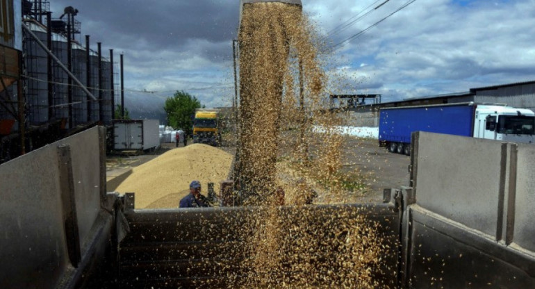Ucrania analiza diferentes alternativas tras el fin del acuerdo del grano. Foto: Reuters.