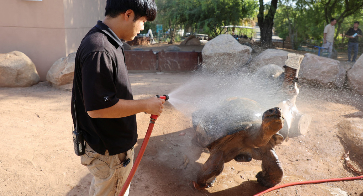 Las duchas en el zoológico de Phoenix ayudan a los animales a sobrevivir. Foto: Reuters.