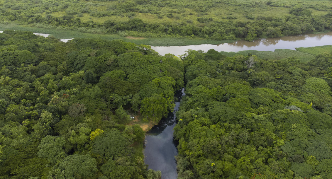 Parque de humedales de Ozama, República Dominicana. Foto: EFE