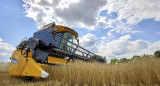 Acuerdo de cereales. Foto: EFE