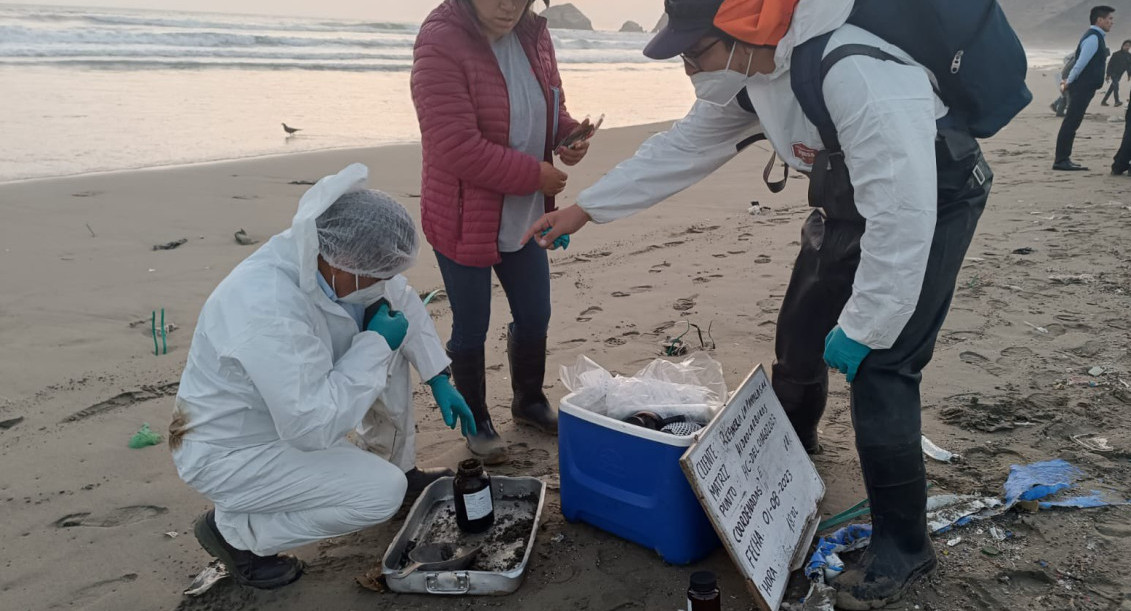 Investigación contra los que resulten responsables de la contaminación del ambiente, tras hallar hidrocarburo en la Playa Los Delfines. Foto Twitter @FiscaliaPeru.