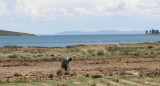 Lago Titicaca. Foto: EFE