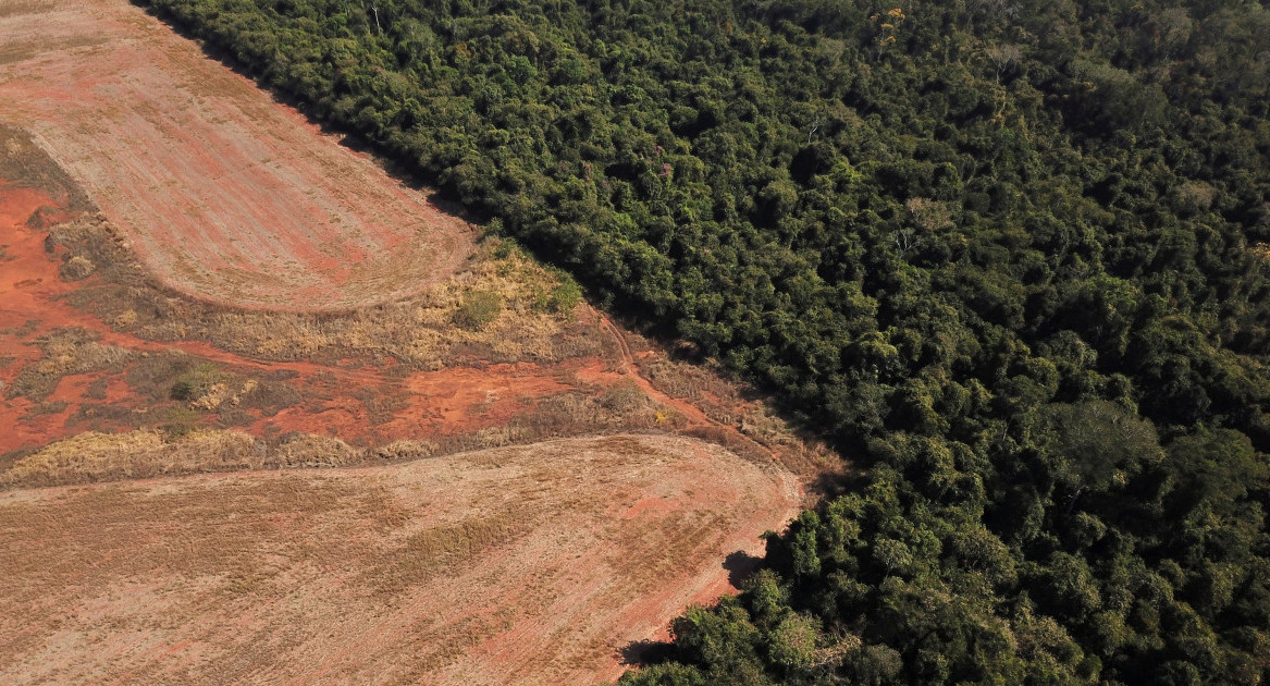 Deforestación en Amazonia. Foto: NA.