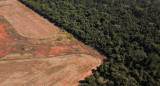 Deforestación en Amazonia. Foto: NA.