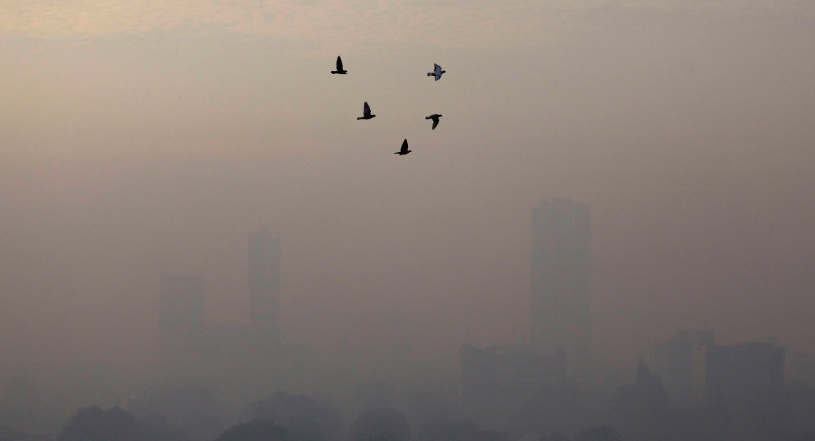 Pájaros vuelan en una mañana con humo en Yakarta, Indonesia. Foto: Reuters.