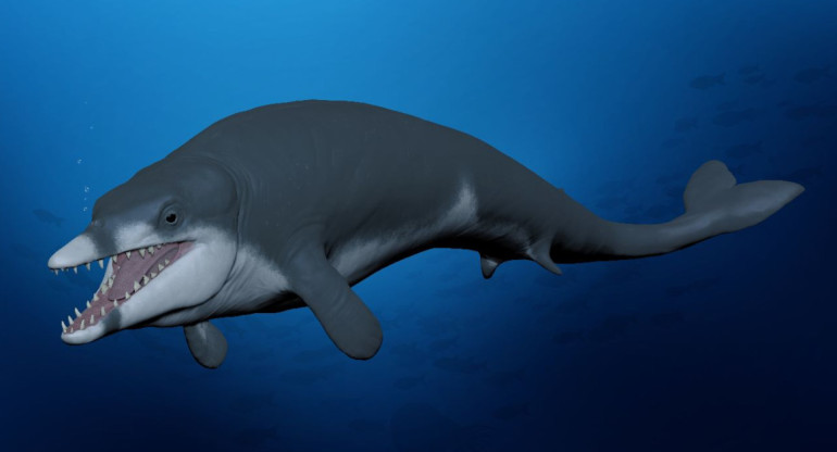 Recrean como sería la nueva especie de ballena encontrada en Egipto. Foto: Twitter @heshamsallam