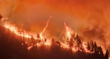 Avanza el fuego en Tenerife, Islas Canarias. Foto: Reuters