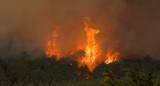 Incendios en Tenerife. Foto: Reuters.