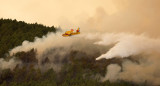 Incendios en Tenerife. Foto: Reuters.