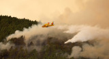 Incendios en Tenerife. Foto: Reuters.