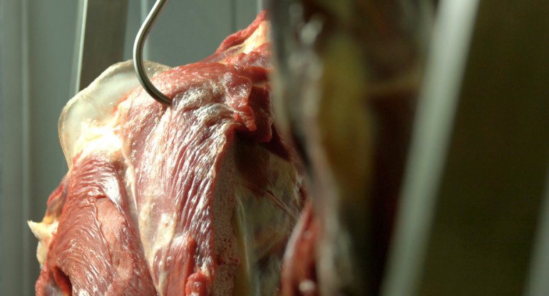 Aduana suspendió un frigorífico por subfacturar exportaciones de Carne a Alemania. Foto: Aduana.