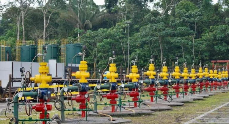 Hilera de pozos petroleros en una plataforma del campo Tambococha, del Bloque 43-ITT. Foto: EFE.
