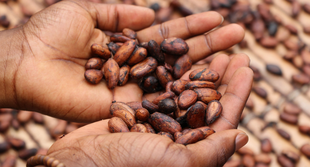 Un nuevo impulso en Madagascar, donde se produce el mejor cacao, pretende hacer más sostenible la producción de chocolate. Foto: Unsplash.