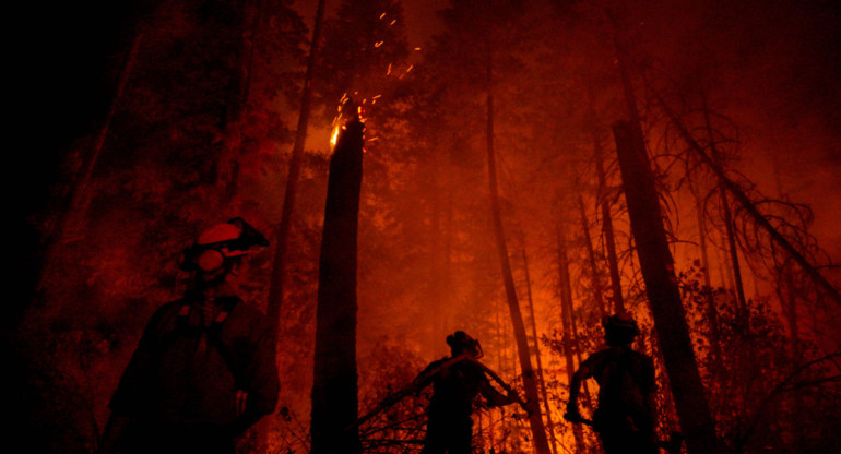 Incendios en Canadá. Foto: EFE