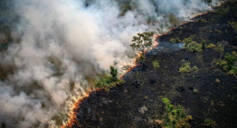 Incendio en el Amazonía. Foto: Reuters.