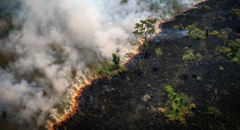 Incendio en el Amazonía. Foto: Reuters.