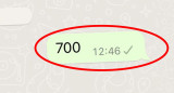 700, el "código secreto" de WhatsApp. Foto: Gentileza Crast.net.