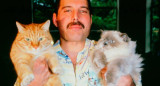 Freddie Mercury y su amor por los gatos. Foto: Instagram.