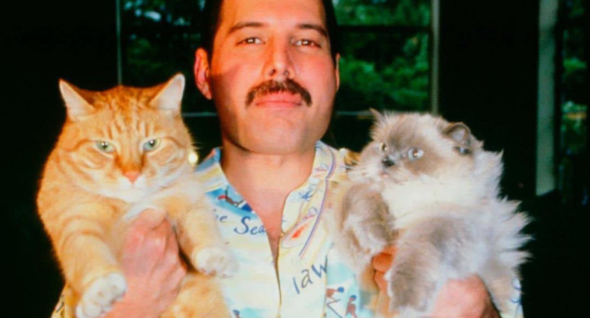 Freddie Mercury y su amor por los gatos. Foto: Instagram.