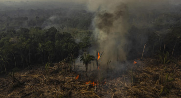 Septiembre es la época más seca y en la que se desatan más fuegos en Amazonas. Foto EFE.