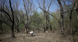 La zona donde Rumania halló restos de drones "similiares a los rusos" en la frontera con Ucrania. Foto: Reuters.