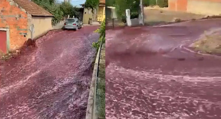 Río de vino en un pueblo de Portugal. Foto: Captura de video