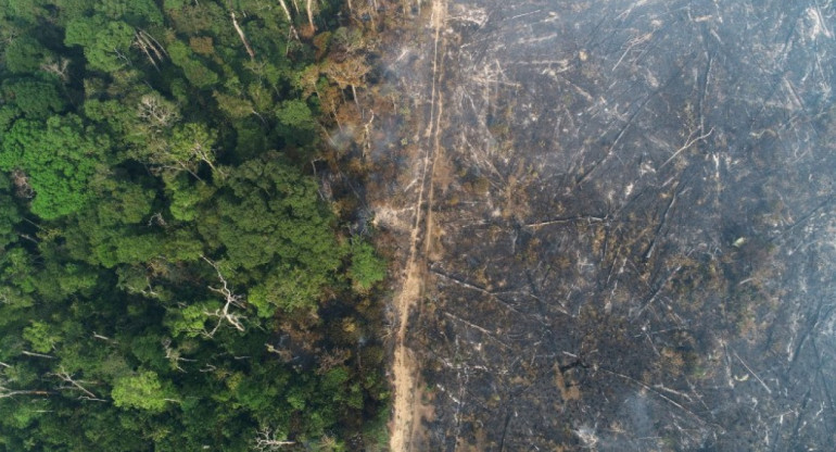 Amazonia. Foto: REUTERS.