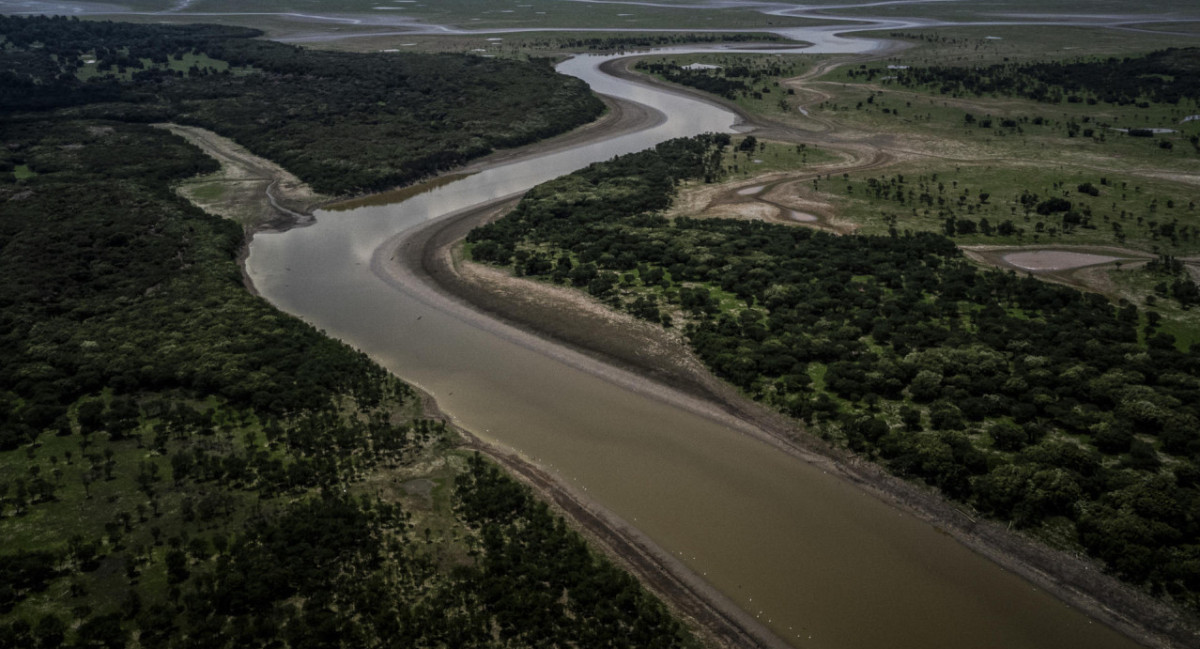 Preocupación por la sequía en la Amazonía brasileña. Foto: EFE.