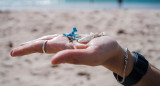 Microplásticos recogidos durante una jornada de limpieza en la Isla de Pascua. EFE.