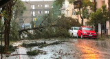 Estado del clima, árboles caídos. Foto: NA.