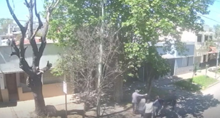 Albañiles agredieron a vecino en La Plata. Foto: captura de video.