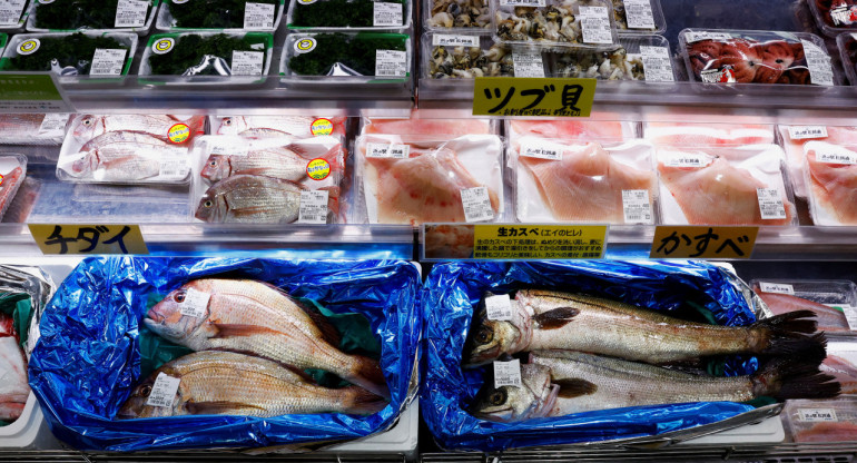 Industria pesquera china. Foto: Reuters.