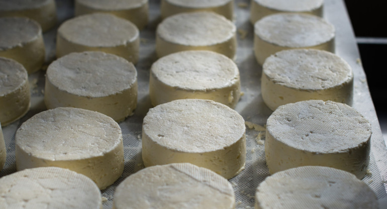 El queso Afuega’l Pitu es originario de las Asturias. Unsplash.