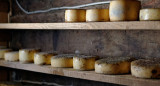 El queso asturiano fortalece la salud de los huesos. Foto Unsplash.