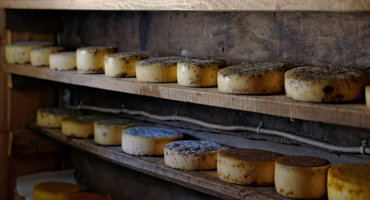 El queso asturiano fortalece la salud de los huesos. Foto Unsplash.