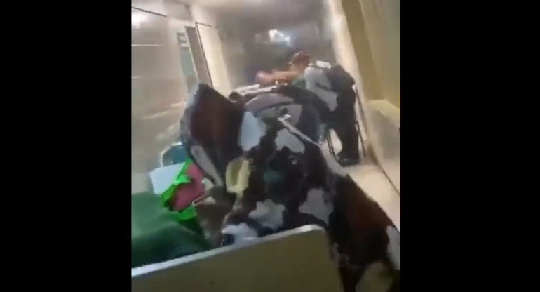 Un hospital, afectado por el huracán Otis en México. Foto: Captura de video.