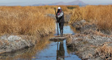 Lago Titicaca. Foto: EFE