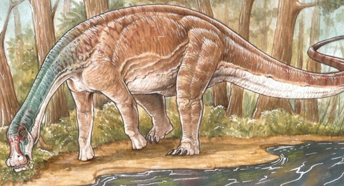 Inawentu oslatus, titanosaurio descubierto en Neuquén. Ilustración: Gabriel Lio- Conicet.