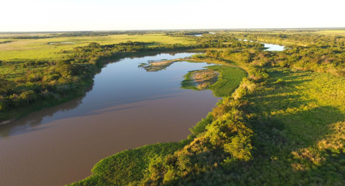 Humedales del Río Paraná. Foto: Télam.