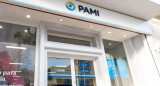 Pami. Foto: PAMI.