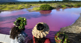 Agua rosa en Hawái. Foto Twitter @primacial.