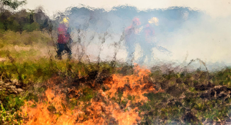 Las llamas en el Pantanal brasileño. Foto: EFE