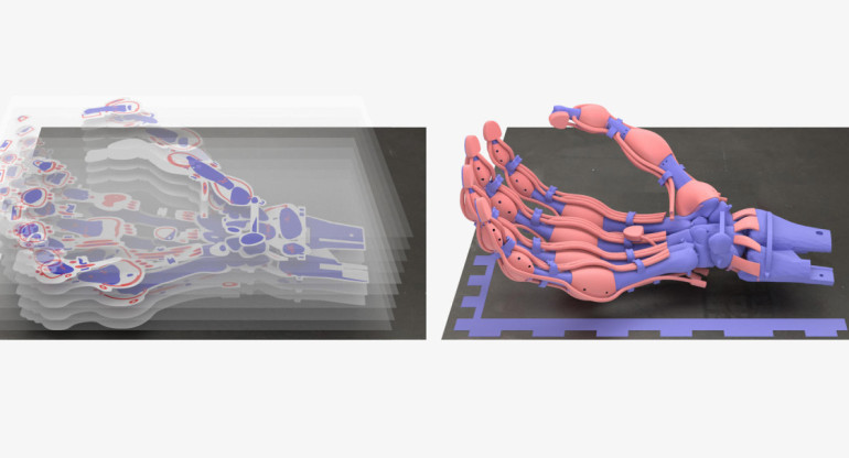 Crean una mano robótica blanda con huesos, ligamentos y tendones mediante impresión 3D. EFE